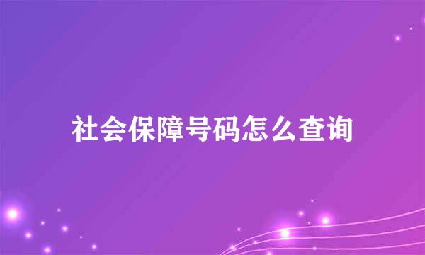 社会保障号码怎么查询