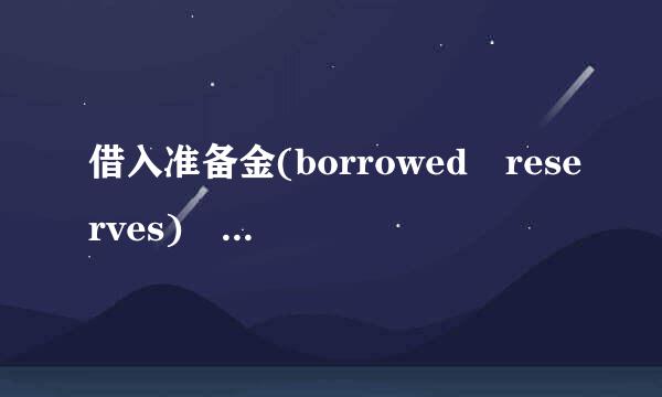 借入准备金(borrowed reserves) 名词解释