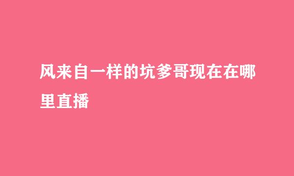 风来自一样的坑爹哥现在在哪里直播