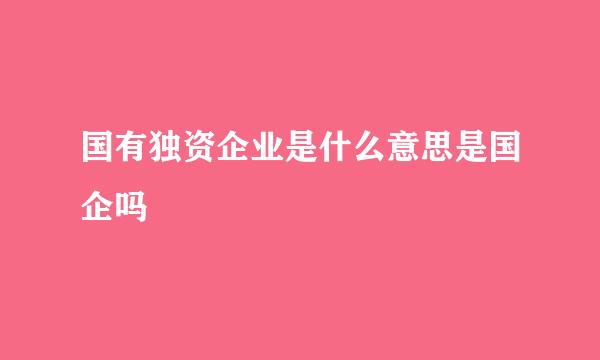 国有独资企业是什么意思是国企吗