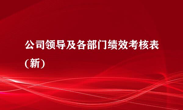 公司领导及各部门绩效考核表(新)