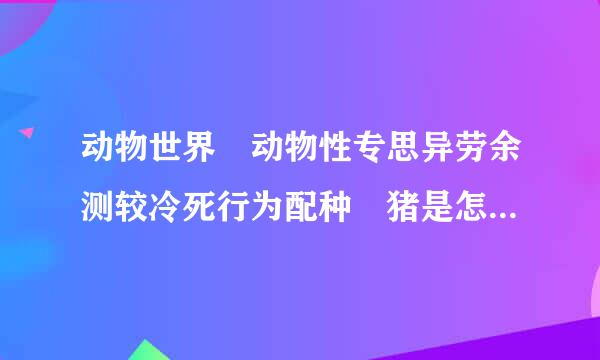 动物世界 动物性专思异劳余测较冷死行为配种 猪是怎么交配的