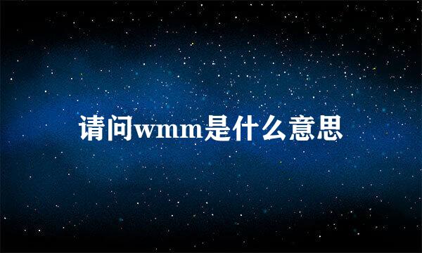 请问wmm是什么意思