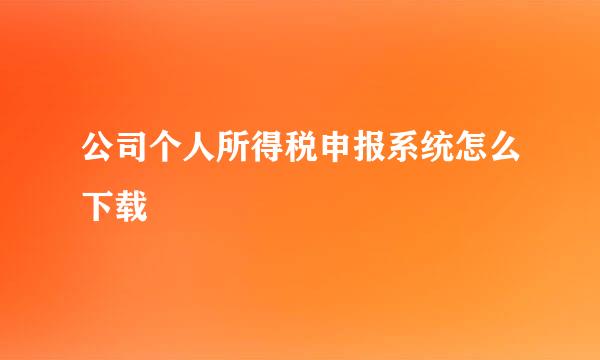 公司个人所得税申报系统怎么下载