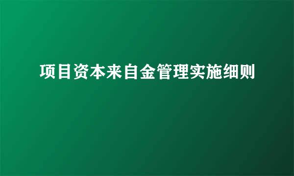 项目资本来自金管理实施细则