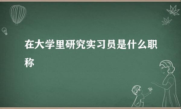 在大学里研究实习员是什么职称