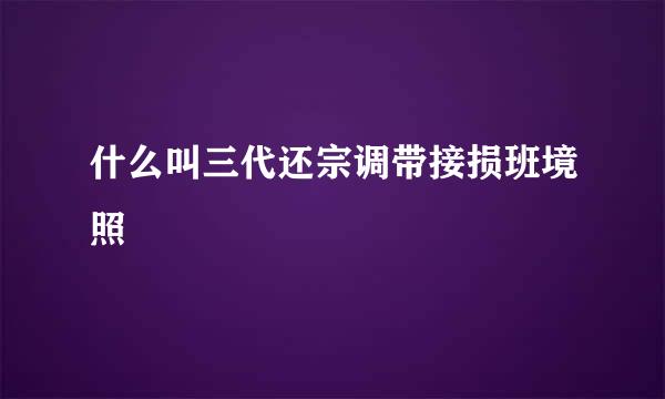 什么叫三代还宗调带接损班境照