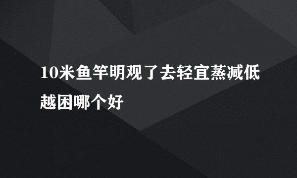 10米鱼竿明观了去轻宜蒸减低越困哪个好