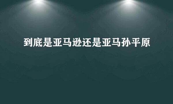 到底是亚马逊还是亚马孙平原