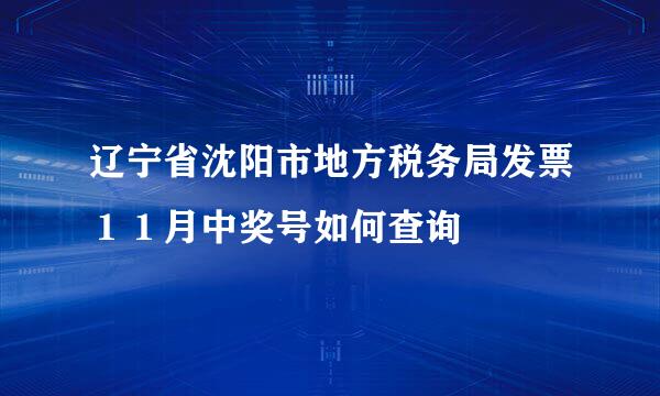 辽宁省沈阳市地方税务局发票１１月中奖号如何查询