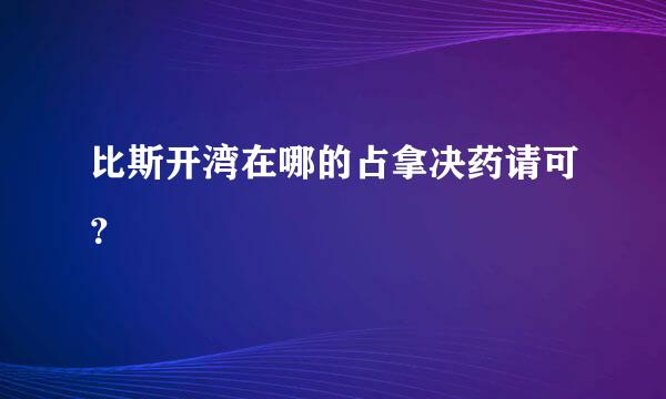 比斯开湾在哪的占拿决药请可？