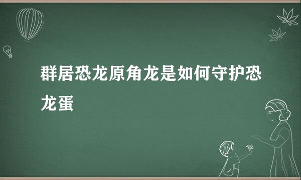 群居恐龙原角龙是如何守护恐龙蛋