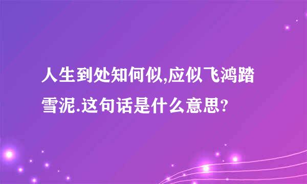 人生到处知何似,应似飞鸿踏雪泥.这句话是什么意思?