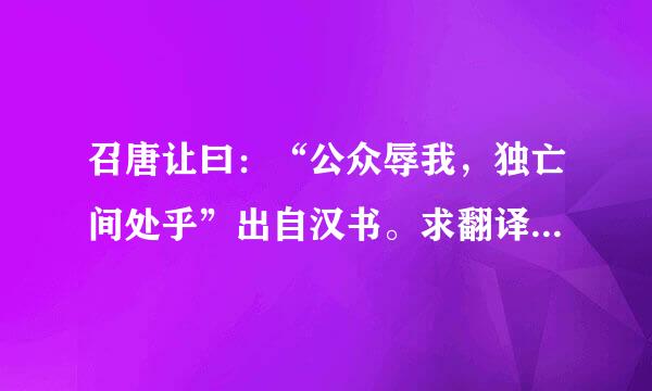 召唐让曰：“公众辱我，独亡间处乎”出自汉书。求翻译独、亡、间的意思