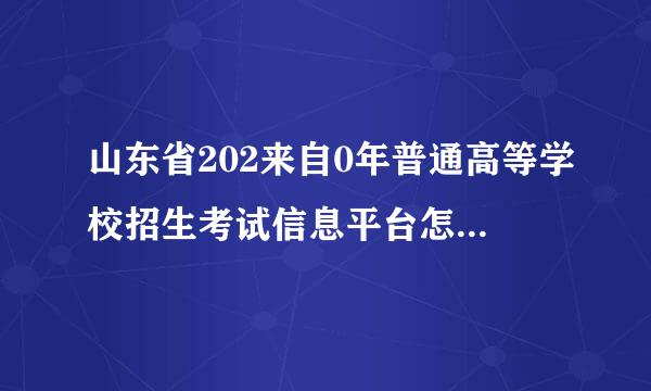 山东省202来自0年普通高等学校招生考试信息平台怎么查询“个人信息查看”？