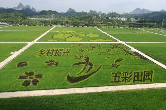 玉安失供台林旅游必去十大景点排名