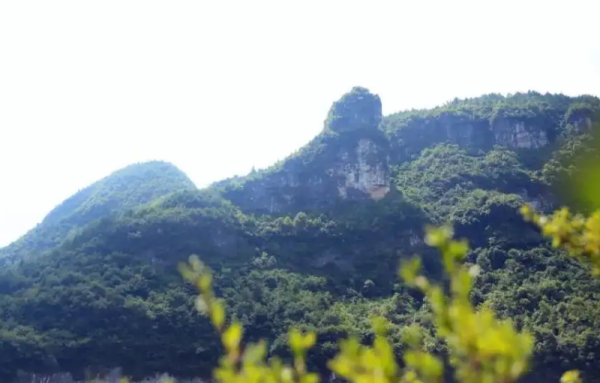 彭阳旅游景点来自有哪些