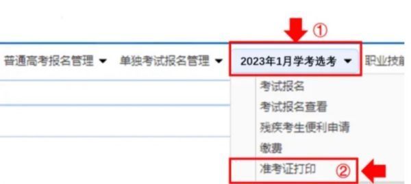 浙江省教育考试院准考证下载打印入口