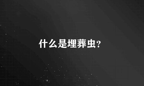 什么是埋葬虫？