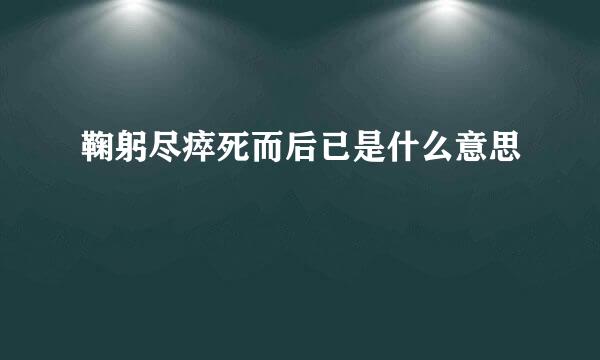 鞠躬尽瘁死而后已是什么意思