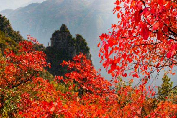 巫山旅游景点大全