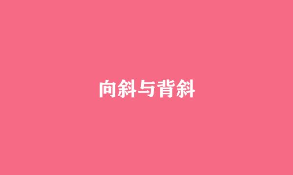 向斜与背斜