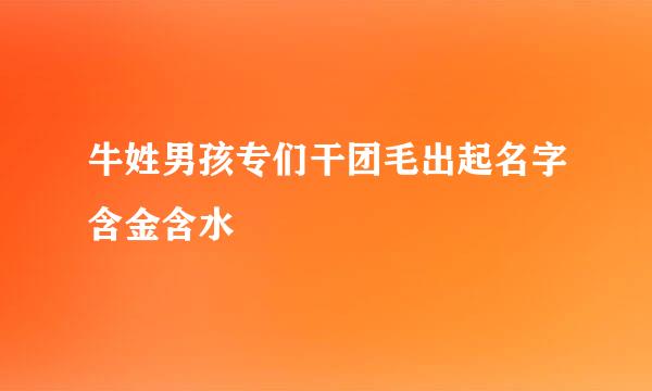 牛姓男孩专们干团毛出起名字含金含水