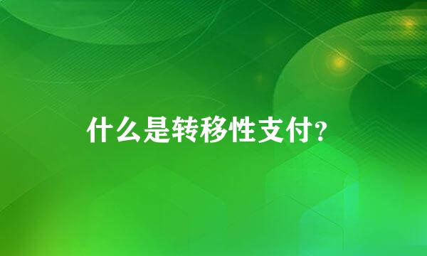 什么是转移性支付？