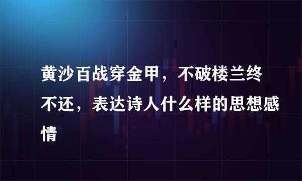 黄沙百战穿金甲，不破楼兰终不还，表达诗人什么样的思想感情