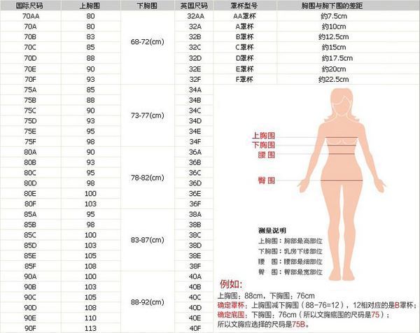 85B是多大胸围？