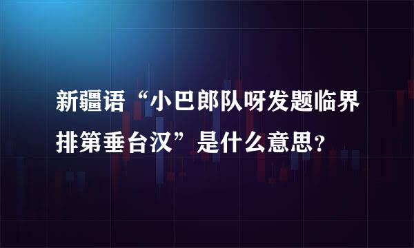 新疆语“小巴郎队呀发题临界排第垂台汉”是什么意思？