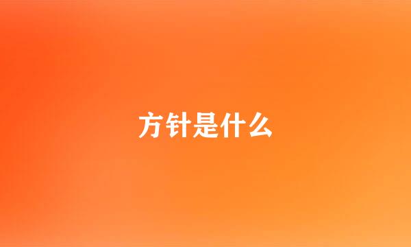 方针是什么