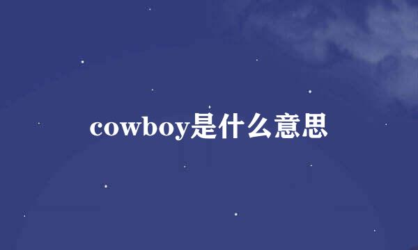 cowboy是什么意思