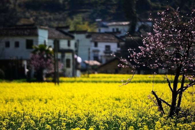 芊墨是什么意思