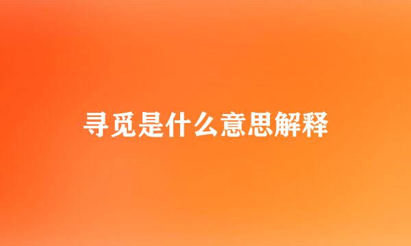 寻觅是什么意思解释