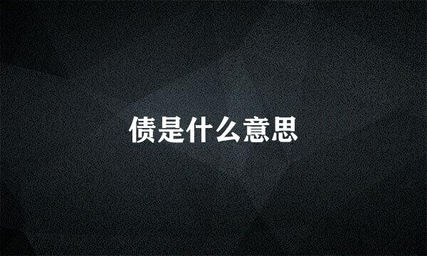 债是什么意思