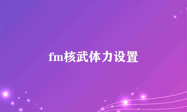 fm核武体力设置