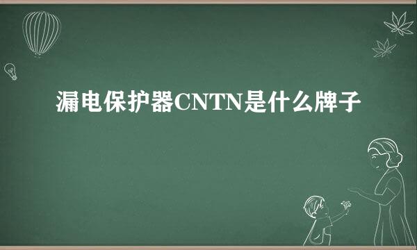 漏电保护器CNTN是什么牌子