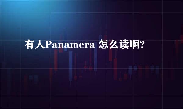 有人Panamera 怎么读啊?