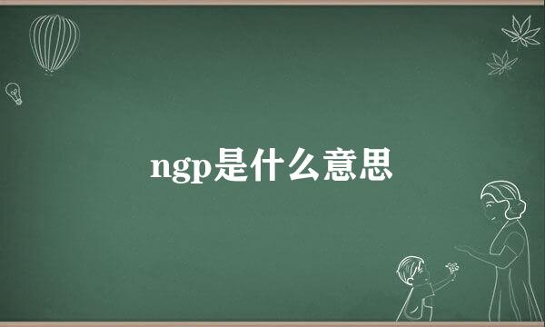 ngp是什么意思