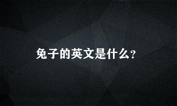 兔子的英文是什么？