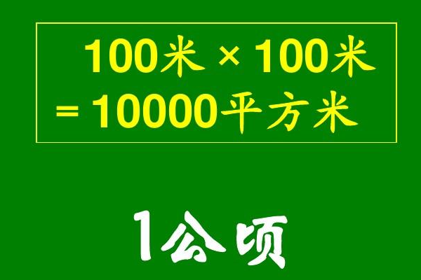 1公顷多少平方米