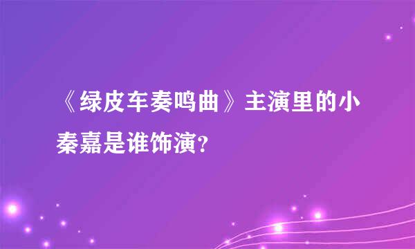 《绿皮车奏鸣曲》主演里的小秦嘉是谁饰演？