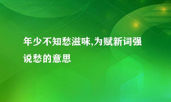 年少不知愁滋味,为赋新词强说愁的意思