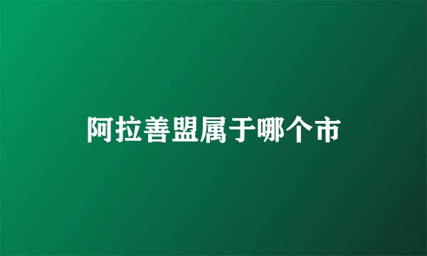 阿拉善盟属于哪个市