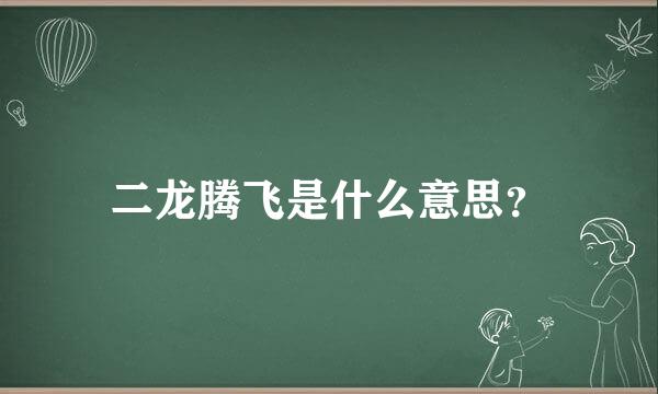 二龙腾飞是什么意思？