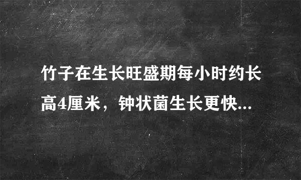 竹子在生长旺盛期每小时约长高4厘米，钟状菌生长更快，生长旺盛期每小时约长高25厘米。如果它们都处在