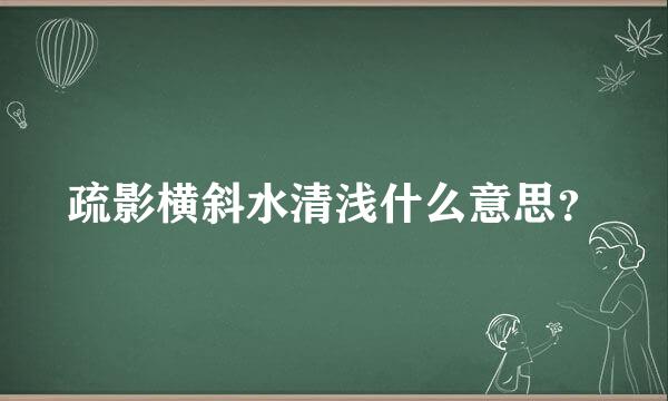 疏影横斜水清浅什么意思？