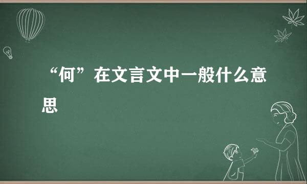 “何”在文言文中一般什么意思