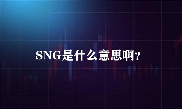 SNG是什么意思啊？